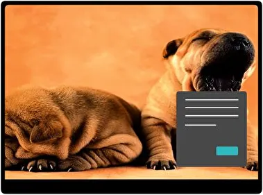 Shar Pei Oscuro tema para Windows 11