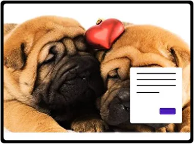 Shar Pei tema para Windows 11