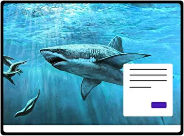 Tiburón tema para Windows 11