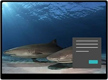 Tiburones Oscuro tema para Windows 11