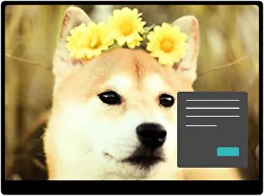 Shiba Inu Oscuro tema para Windows 11