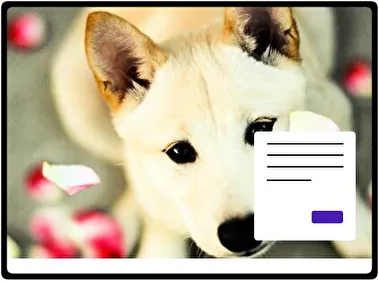 Shiba Inu tema para Windows 11