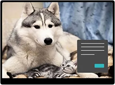 Husky Siberiano Oscuro tema para Windows 11