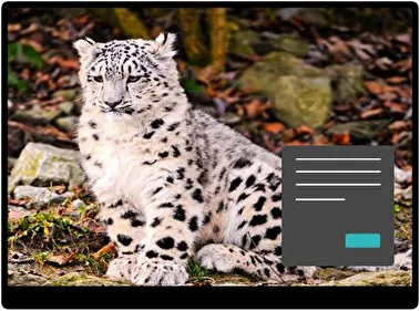 Leopardo de Nieve Oscuro tema para Windows 11