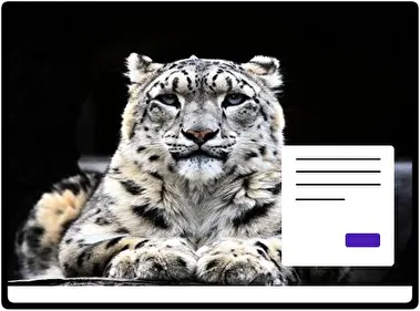 Leopardo de Nieve tema para Windows 11