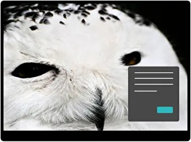 Búho Nival Oscuro tema para Windows 11