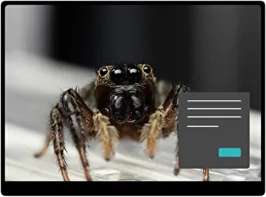 Araña Oscuro tema para Windows 11