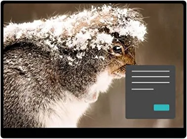 Ardilla Oscuro tema para Windows 11