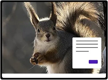Ardilla tema para Windows 11