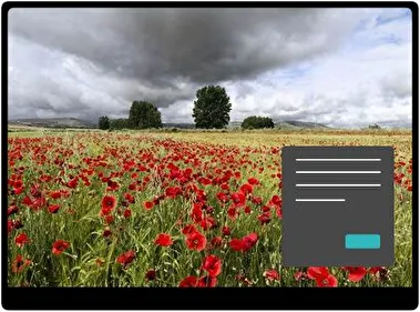 Flores de Verano Oscuro tema para Windows 11