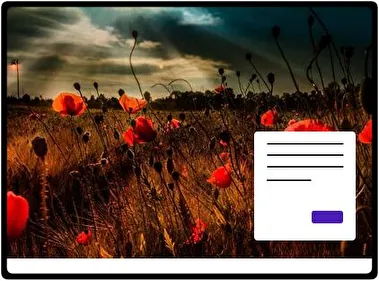 Flores de Verano tema para Windows 11