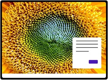 Girasol tema para Windows 11