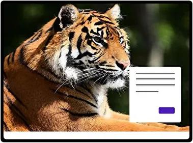 Tigre tema para Windows 11