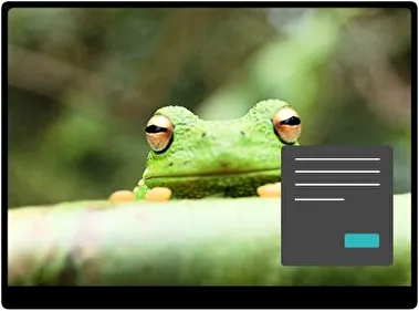 Rana de Árbol Oscuro tema para Windows 11