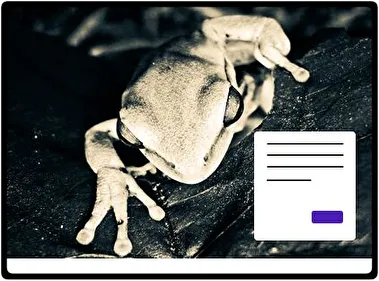 Rana de Árbol tema para Windows 11