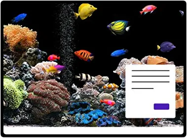 Pez Tropical tema para Windows 11