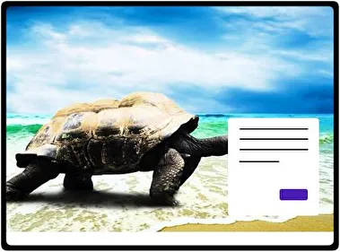 Tortuga tema para Windows 11