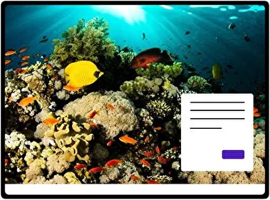 Bajo el Agua tema para Windows 11