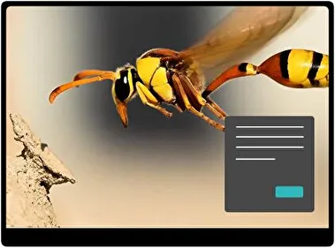 Avispa Oscuro tema para Windows 11