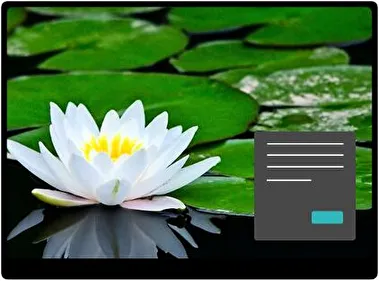 Lirio de Agua Oscuro tema para Windows 11