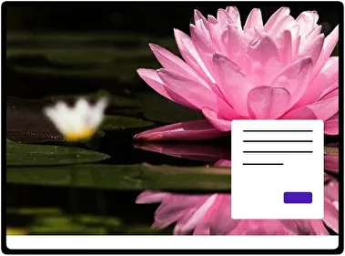 Lirio de Agua tema para Windows 11