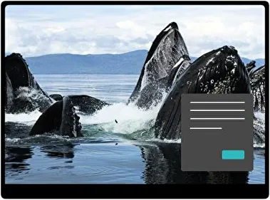 Ballena Oscuro tema para Windows 11