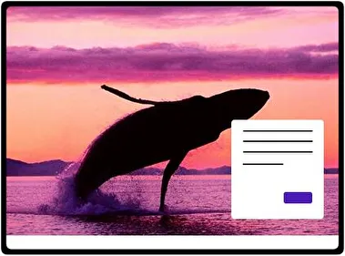Ballena tema para Windows 11