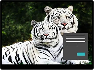 Tigre Blanco Oscuro tema para Windows 11