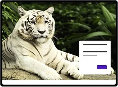 Tigre Blanco tema para Windows 11