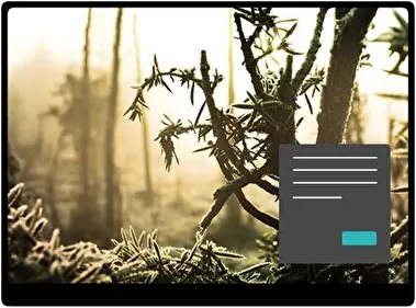 Madera Invernal Oscuro tema para Windows 11
