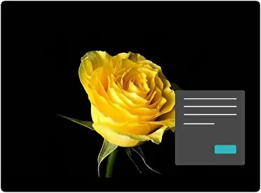 Flores Amarillas Oscuro tema para Windows 11