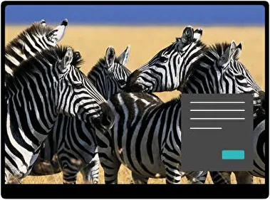 Cebra Oscuro tema para Windows 11