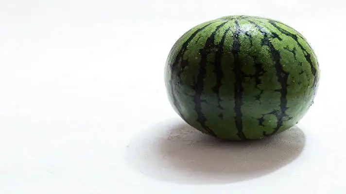 Obrázek prezentace 4